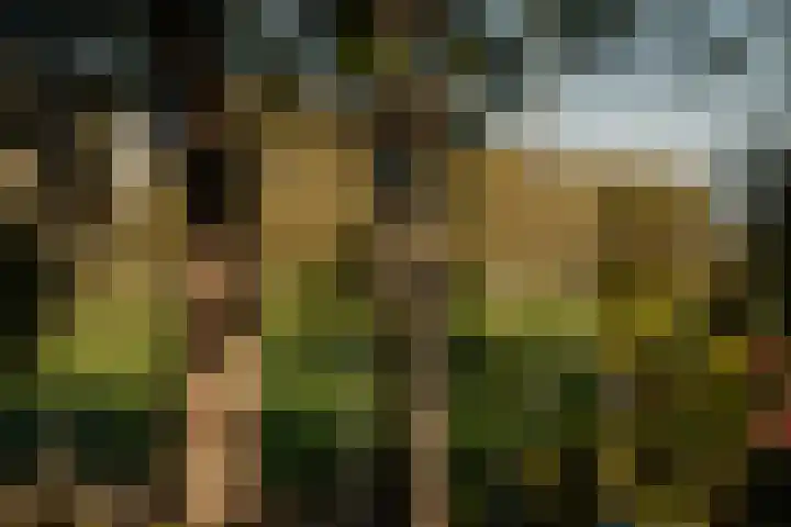 Molenwetering 11 Abcoude thumbnail 15