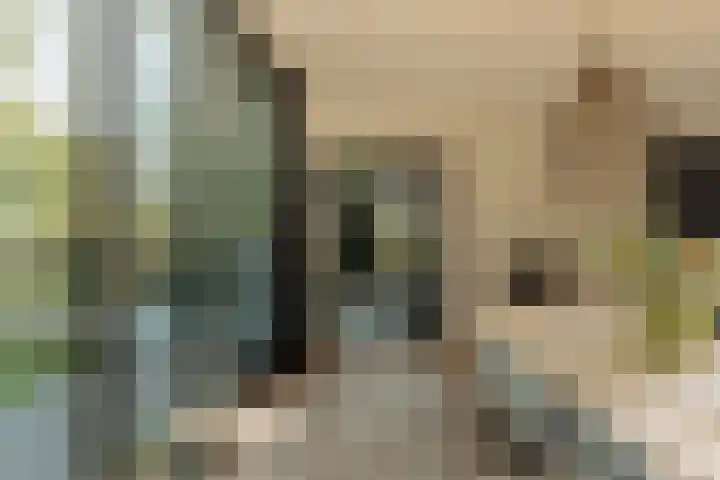 Molenwetering 11 Abcoude thumbnail 17