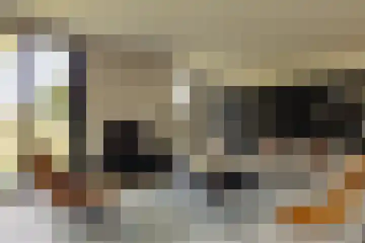 Molenwetering 11 Abcoude thumbnail 18