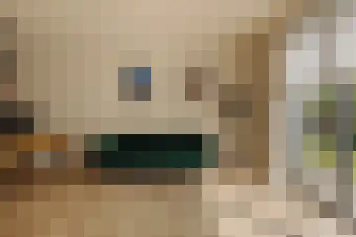 Molenwetering 11 Abcoude thumbnail 23