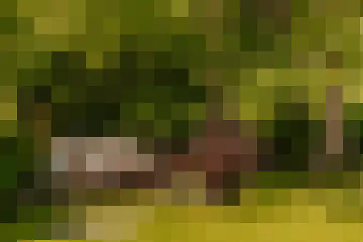 Molenwetering 11 Abcoude thumbnail 28
