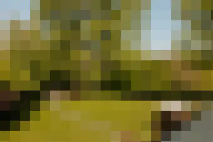 Molenwetering 11 Abcoude thumbnail 29
