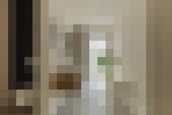 Molenwetering 11 Abcoude thumbnail 33