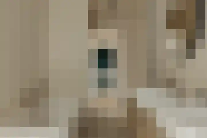 Molenwetering 11 Abcoude thumbnail 34