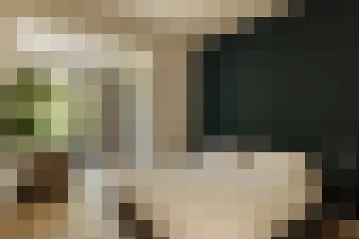 Molenwetering 11 Abcoude thumbnail 37