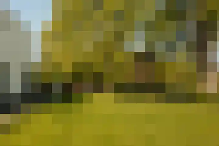 Molenwetering 11 Abcoude thumbnail 4