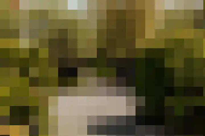 Molenwetering 11 Abcoude thumbnail 40