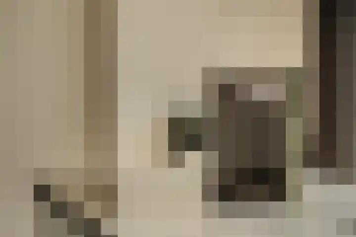Molenwetering 11 Abcoude thumbnail 8