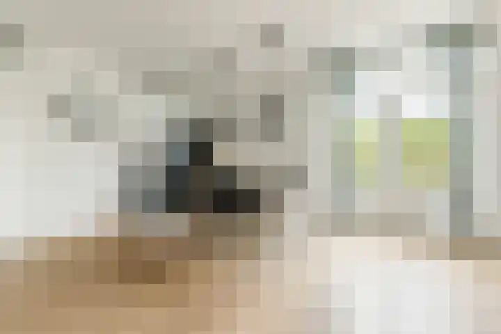 Molenwiek 10 Sint Pancras thumbnail 11