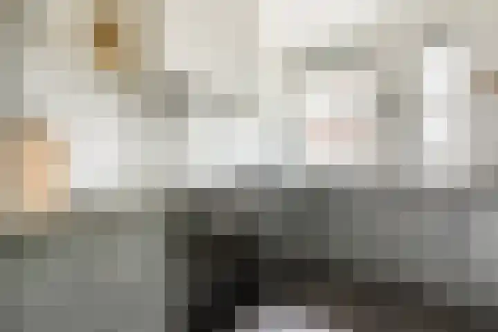 Molenwiek 10 Sint Pancras thumbnail 12