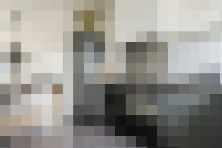 Molenwiek 10 Sint Pancras thumbnail 14