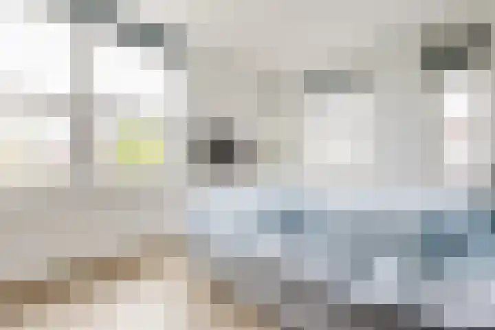 Molenwiek 10 Sint Pancras thumbnail 20