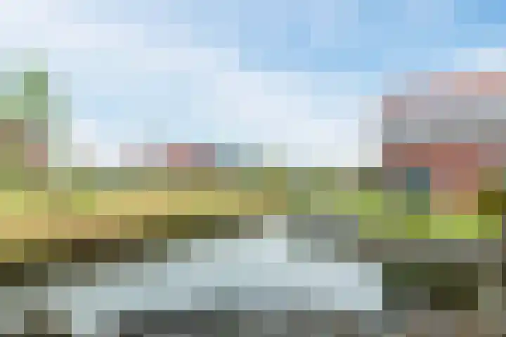 Molenwiek 10 Sint Pancras thumbnail 31