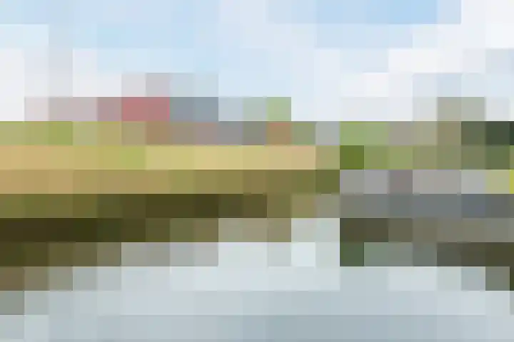 Molenwiek 10 Sint Pancras thumbnail 32