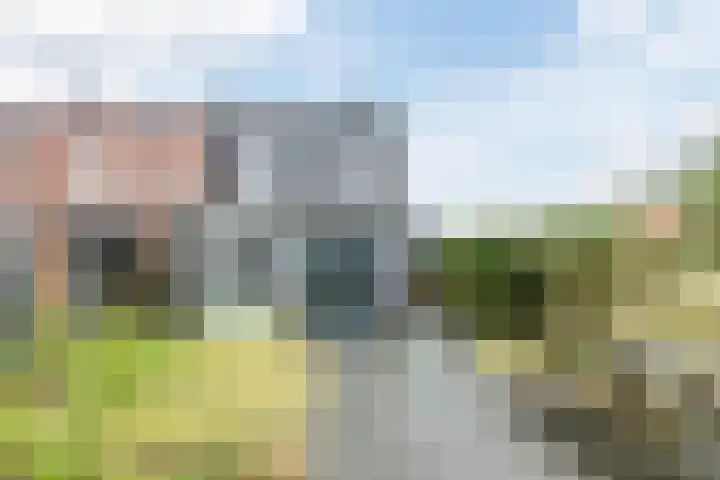 Molenwiek 10 Sint Pancras thumbnail 33