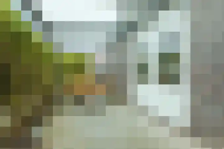 Molenwiek 10 Sint Pancras thumbnail 34