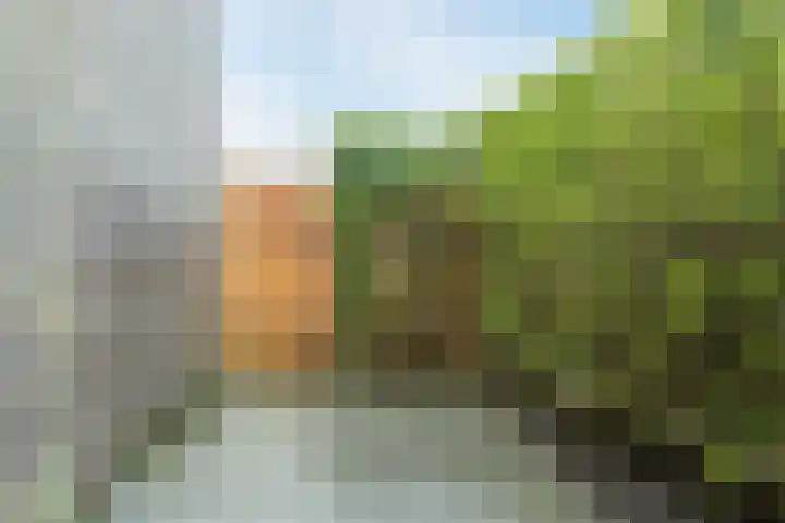 Molenwiek 10 Sint Pancras thumbnail 35