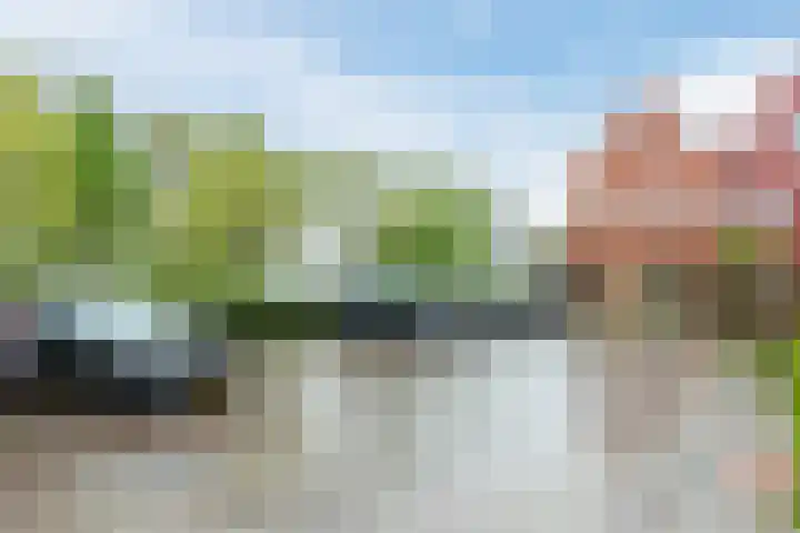 Molenwiek 10 Sint Pancras thumbnail 38