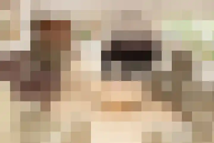 Molenwiek 34 Etten-Leur thumbnail 12