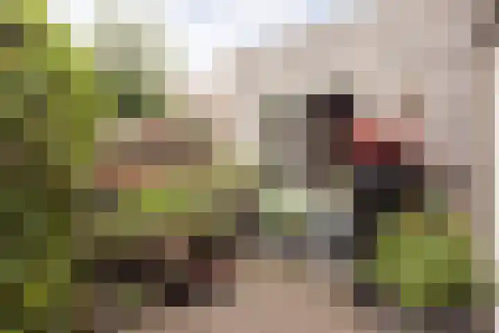 Molenwiek 34 Etten-Leur thumbnail 36