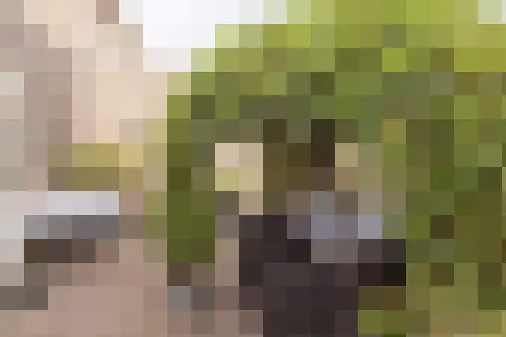 Molenwiek 34 Etten-Leur thumbnail 38