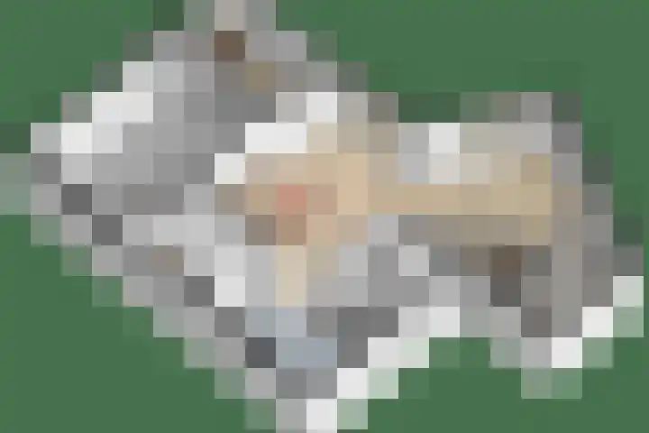 Molenwiek 34 Etten-Leur thumbnail 41