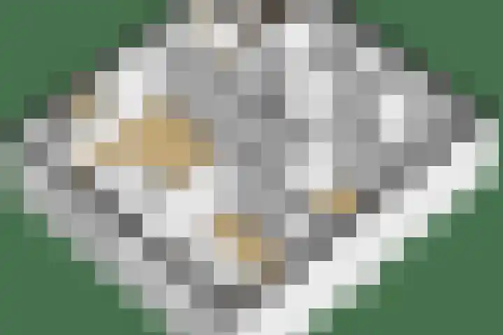 Molenwiek 34 Etten-Leur thumbnail 43