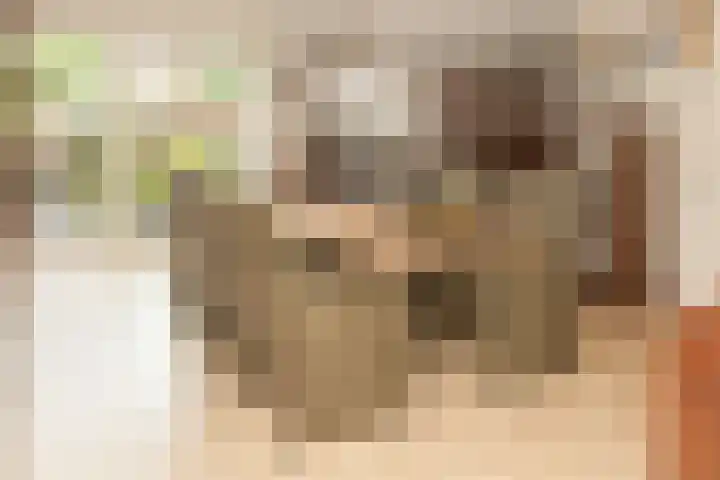 Molenwiek 34 Etten-Leur thumbnail 5