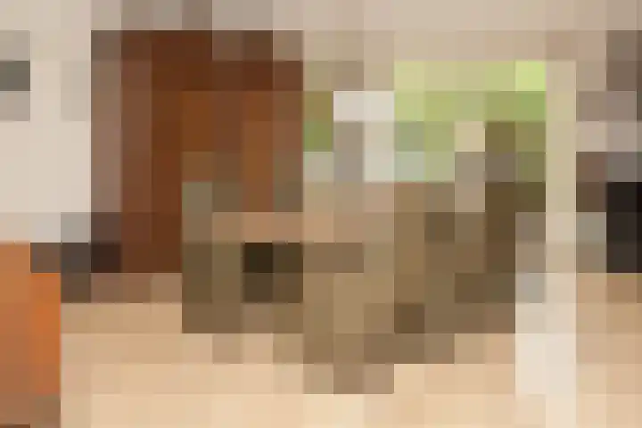 Molenwiek 34 Etten-Leur thumbnail 6
