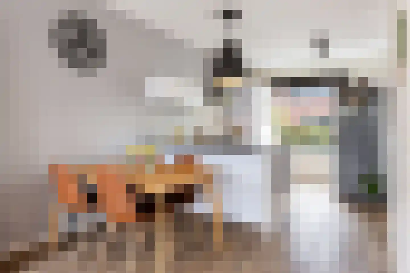 Molenwiek 50 Apeldoorn thumbnail 8