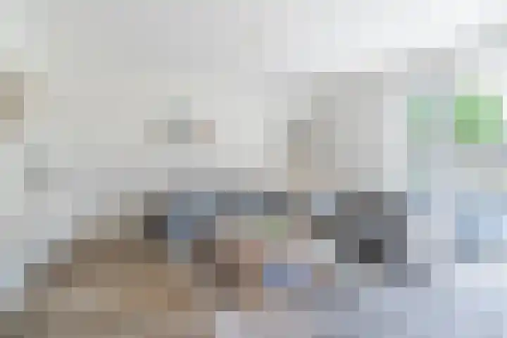 Molenwiek 6 Best thumbnail 13