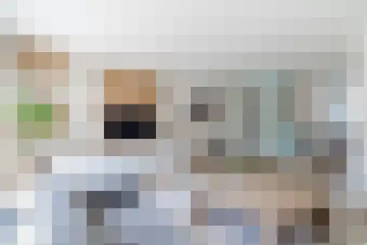 Molenwiek 6 Best thumbnail 14