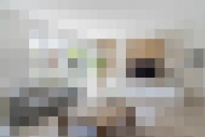 Molenwiek 6 Best thumbnail 15