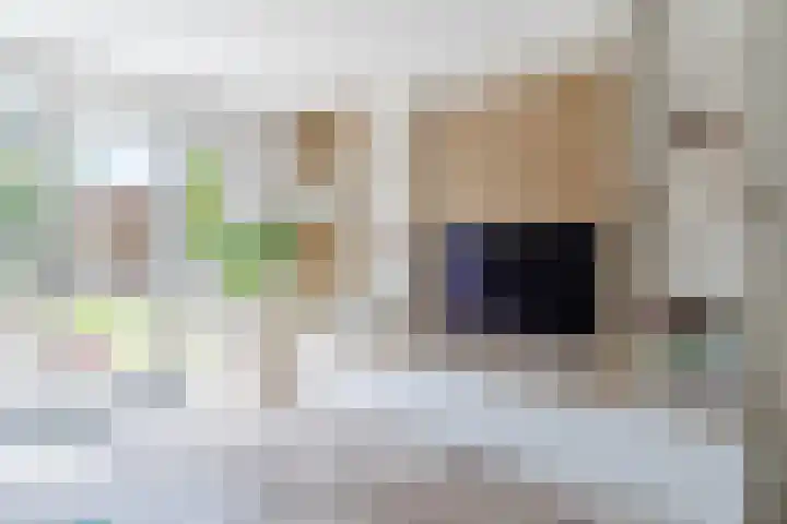 Molenwiek 6 Best thumbnail 16
