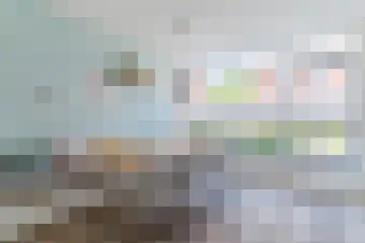 Molenwiek 6 Best thumbnail 18