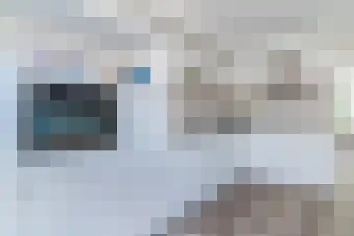 Molenwiek 6 Best thumbnail 20