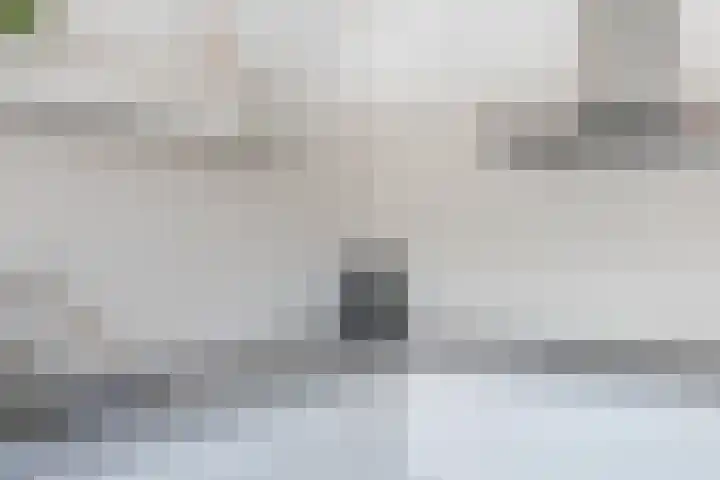Molenwiek 6 Best thumbnail 21