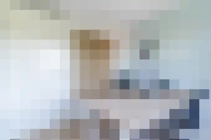 Molenwiek 6 Best thumbnail 32