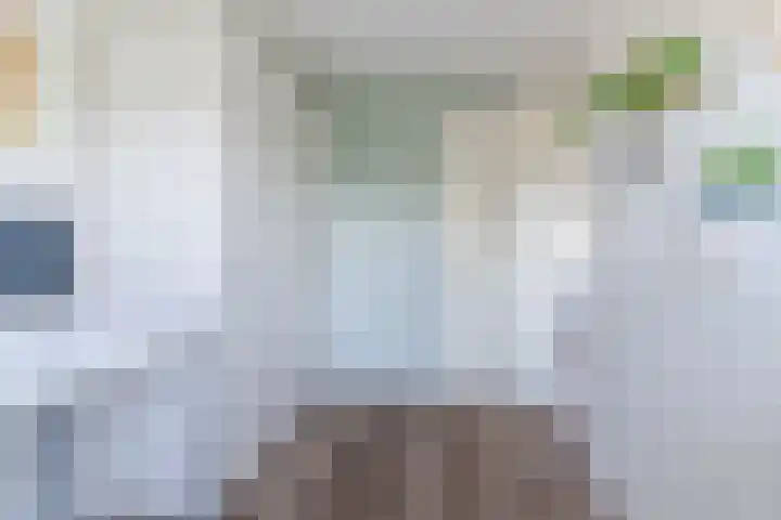 Molenwiek 6 Best thumbnail 34