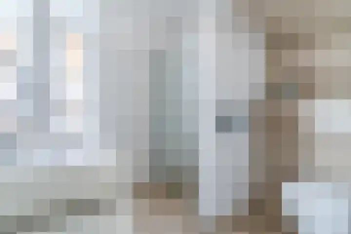 Molenwiek 6 Best thumbnail 35