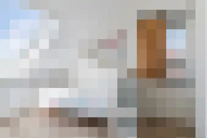 Molenwiek 6 Best thumbnail 39