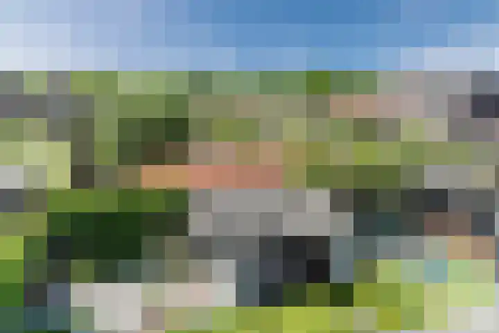 Molenwiek 6 Best thumbnail 46