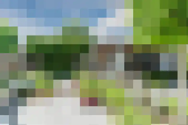 Molenwiek 6 Best thumbnail 47