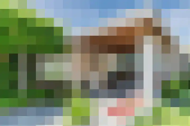 Molenwiek 6 Best thumbnail 49