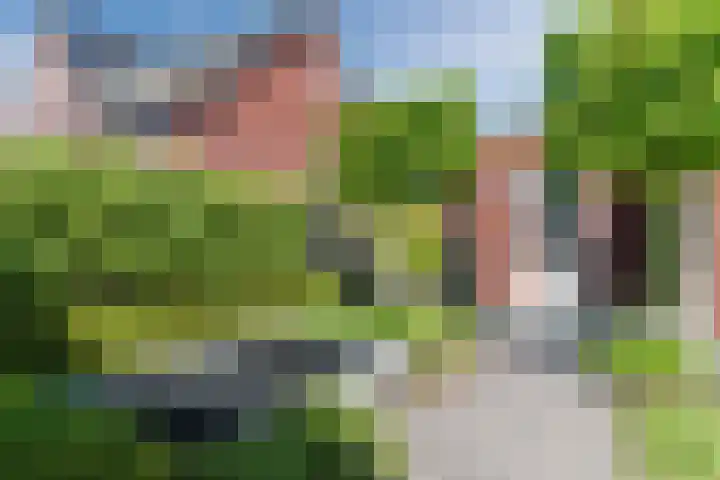 Molenwiek 6 Best thumbnail 52