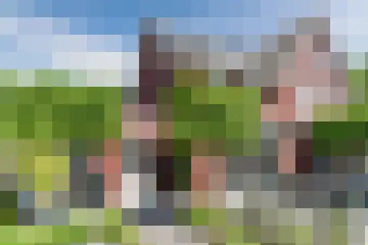 Molenwiek 6 Best thumbnail 53