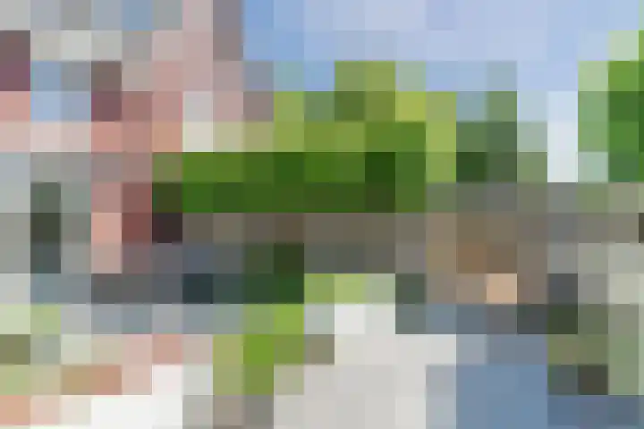 Molenwiek 6 Best thumbnail 54