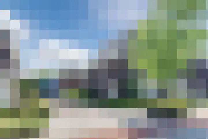 Molenwiek 6 Best thumbnail 58