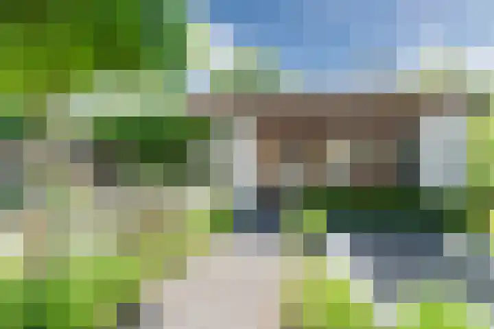 Molenwiek 6 Best thumbnail 6
