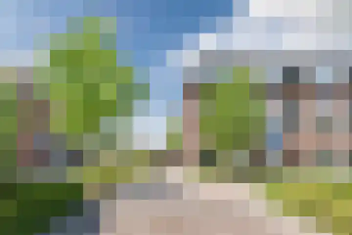 Molenwiek 6 Best thumbnail 61